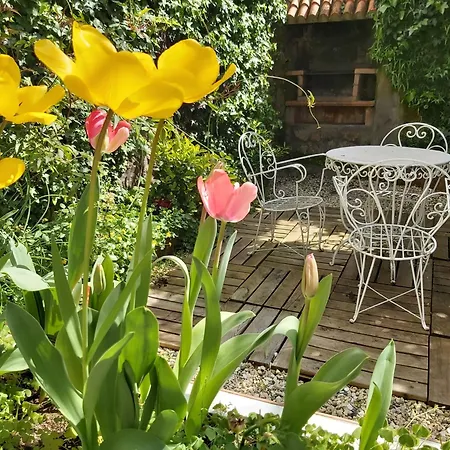 La Casa De Su * Banos De Montemayor