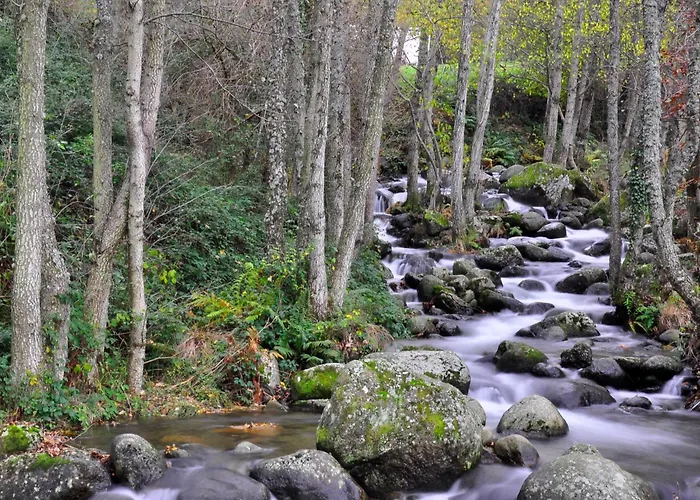 La Casa De Su * Banos De Montemayor